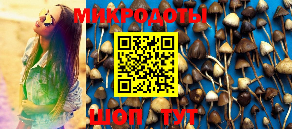 Галлюциногенные грибы прущие грибы  Вход с VPN  Лосино-Петровский 